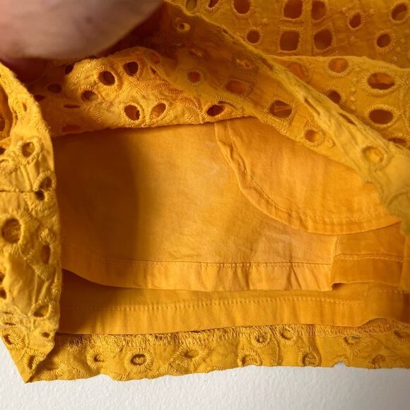 BCBGMAXAZRIA rich yellow, embroidered, lined shorts. Great condition, Small. - Picture 4 of 8